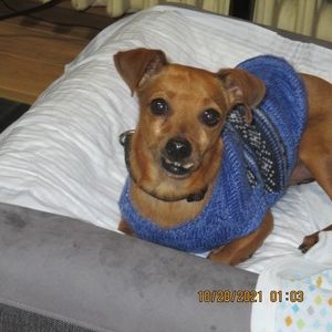 Meet your Posher, Gail